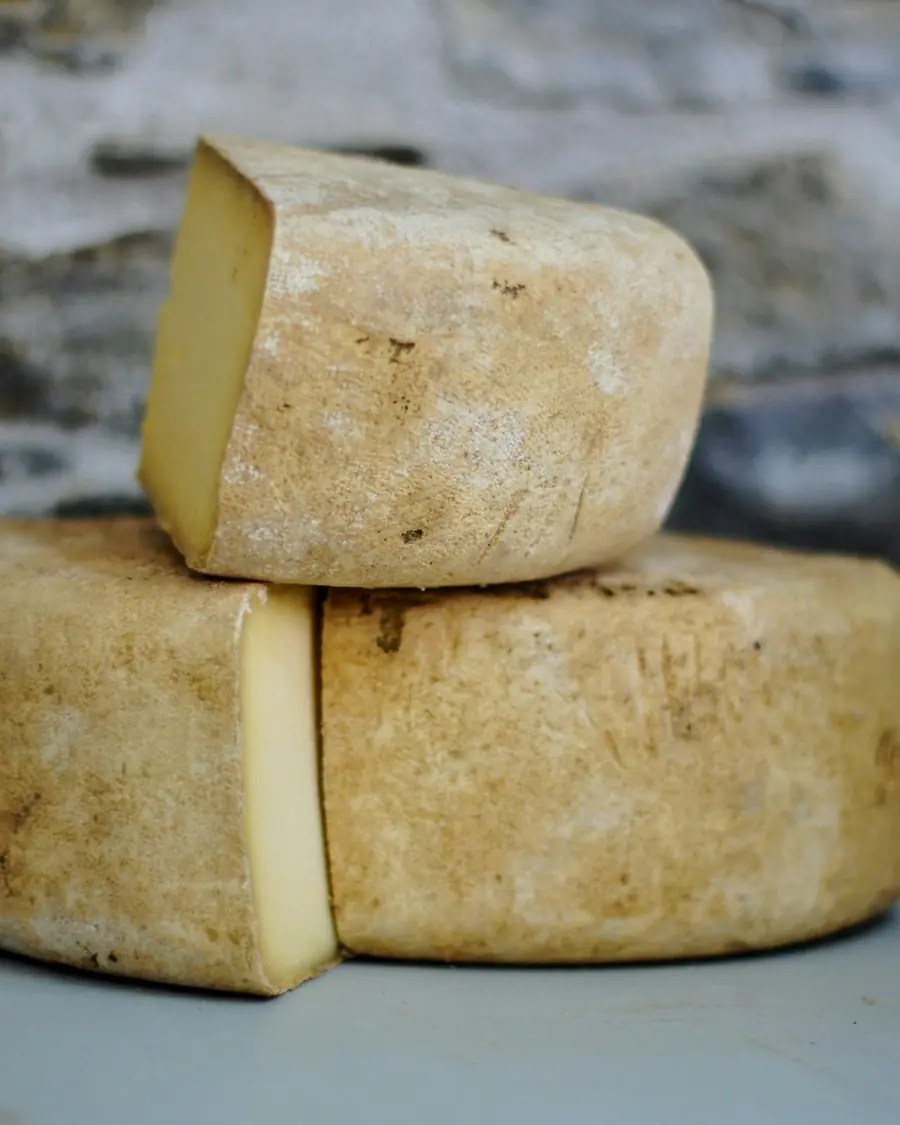 Peças de queijo curado empilhadas sobre uma pedra