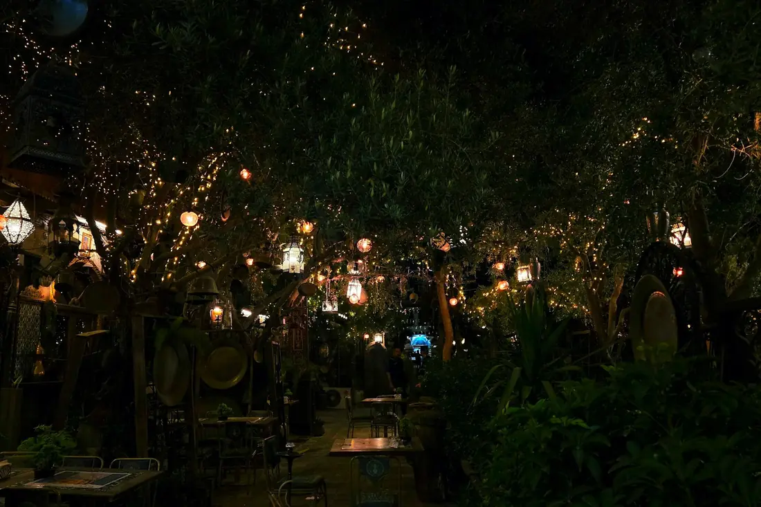 Quintal à noite, iluminado por varais de lâmpadas entre as árvores